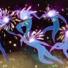 soimuto